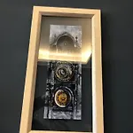 Affaccio Sul Vaticano